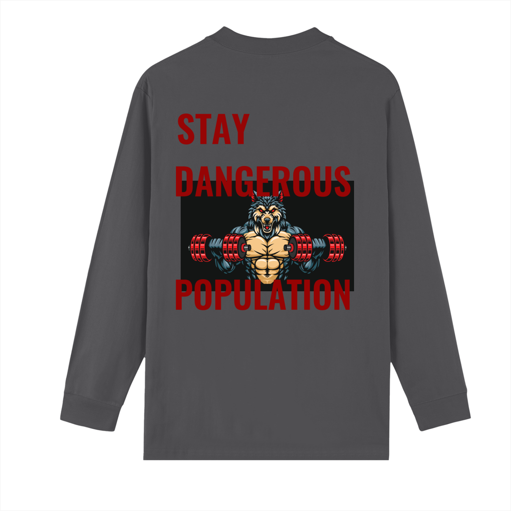 Crew Neck Drop Shoulder Long Sleeve Shirt