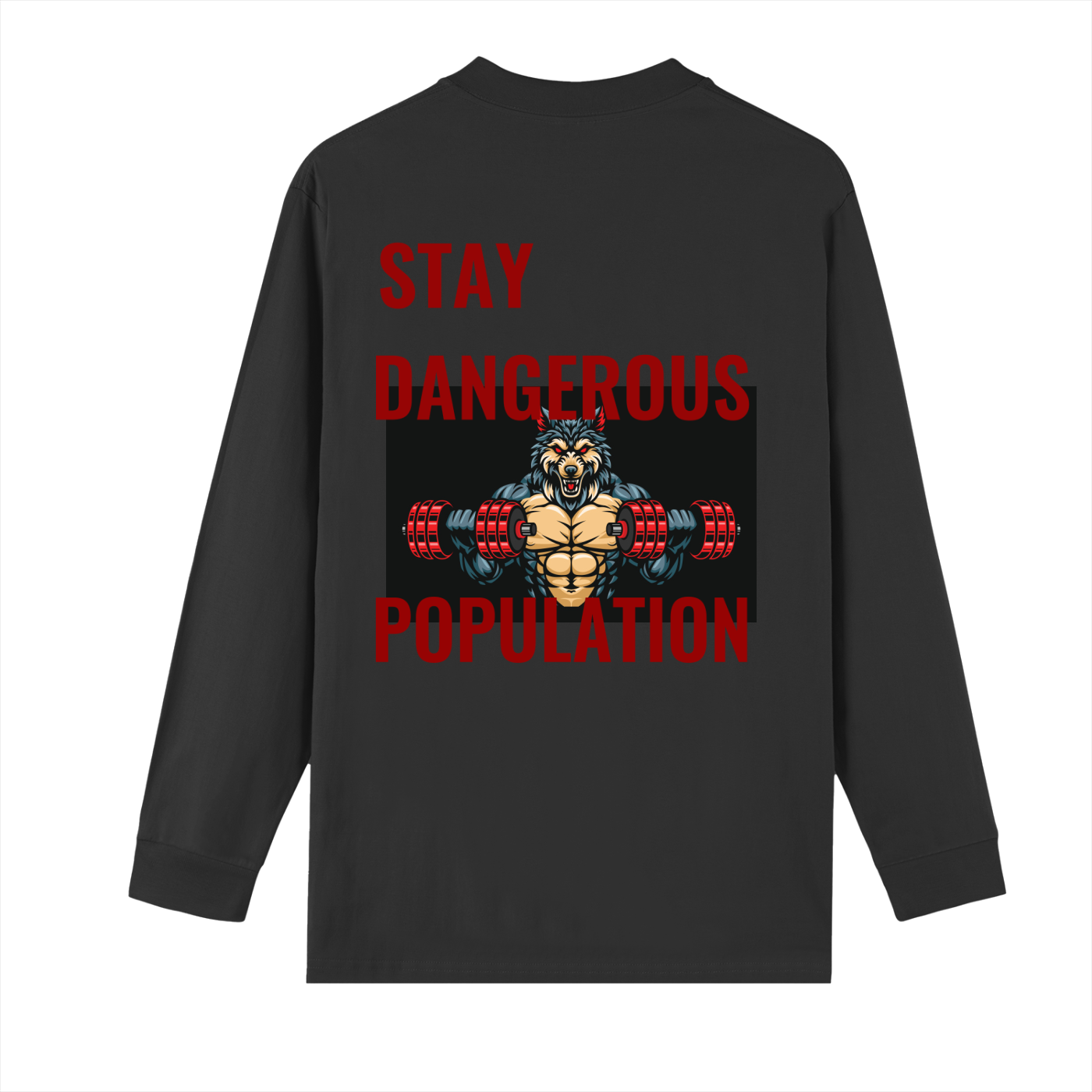 Crew Neck Drop Shoulder Long Sleeve Shirt